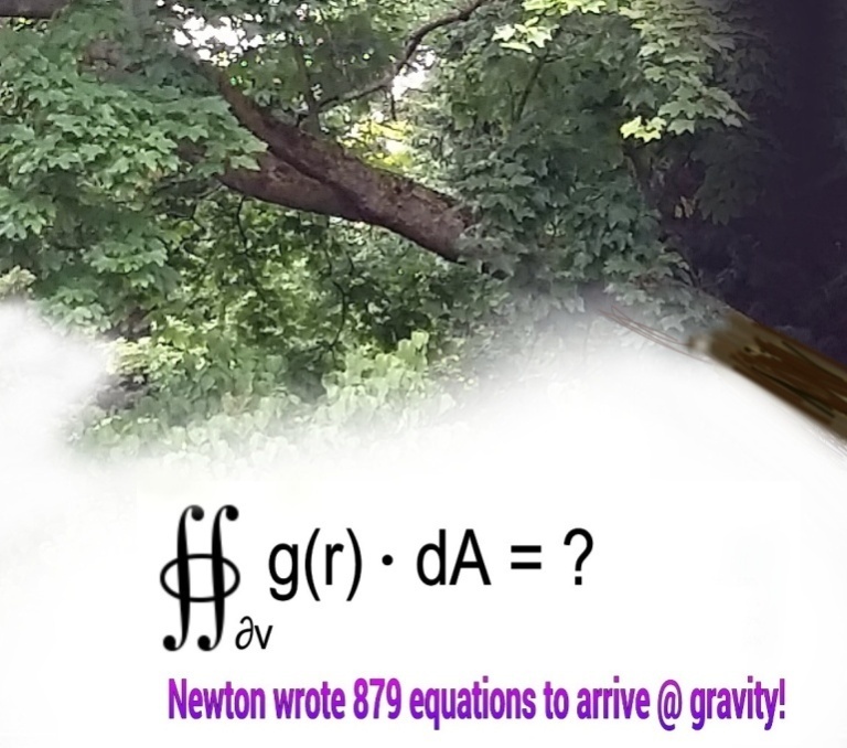 GENIUS: How many Equations did Issac Newton write before he arrived @ Gravity -- Copyright�2015. Lin Hsin Hsin. All Rights Reserved.